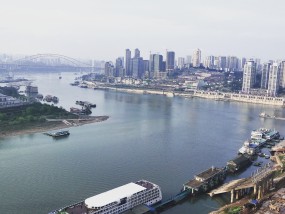 城市风景花鸟摄影圈的魅力与探索城市风景花鸟摄影圈图片