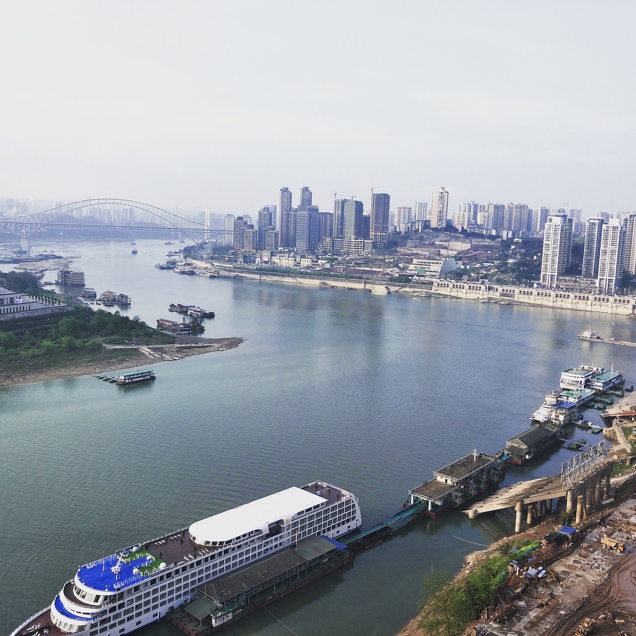 城市风景花鸟摄影圈的魅力与探索城市风景花鸟摄影圈图片  第1张